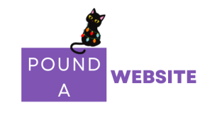 poundawebsite Christmas Logo